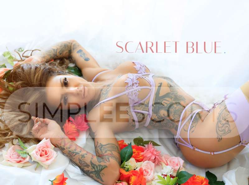 473901779 Seductive Brunette Brooklyn owns the sweetest pussy!
