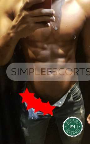 830184503 Larry XXL