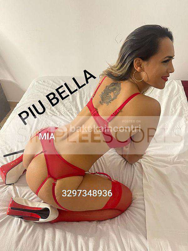 3297348936 MIA TOP GIRL APENA ARRIVATA 🐷PER POCHI GIORNI A INFERNETTO I MIEI TATUAGGI SONO GARANZIA DI AUTENTICITÀ.... NON PERDERTI L'OCCASIONE