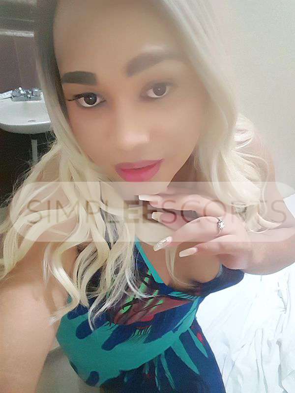 8492013693 Me acoplo a tus deseos soy una Trans muy caliente