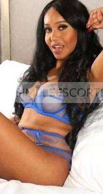 07366671925 Hi Boys! I am Fernanda young beautiful women living alone in Sheffield Yorkshire looking for good company