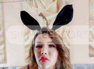 07748046595 Hi Boys! I am Pammy hot beautiful party girl living alone looking for good company.