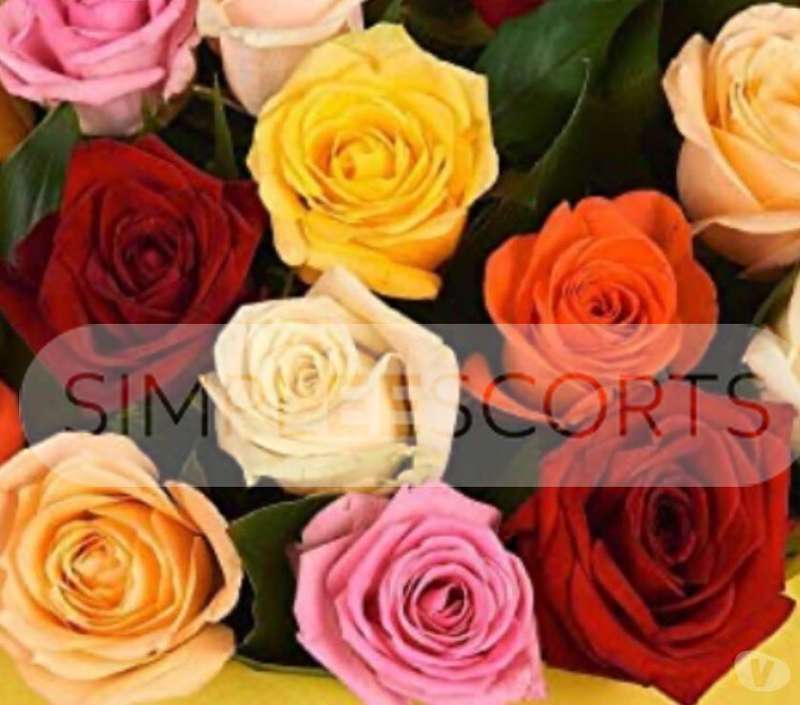 7864688990 Stunning mature high profile lady providing sexual services in Rotherham